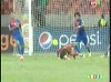 LIVE CAN 2013: Le Cap vert chippe la qualification au Maroc en battant l'Angola (2-1)