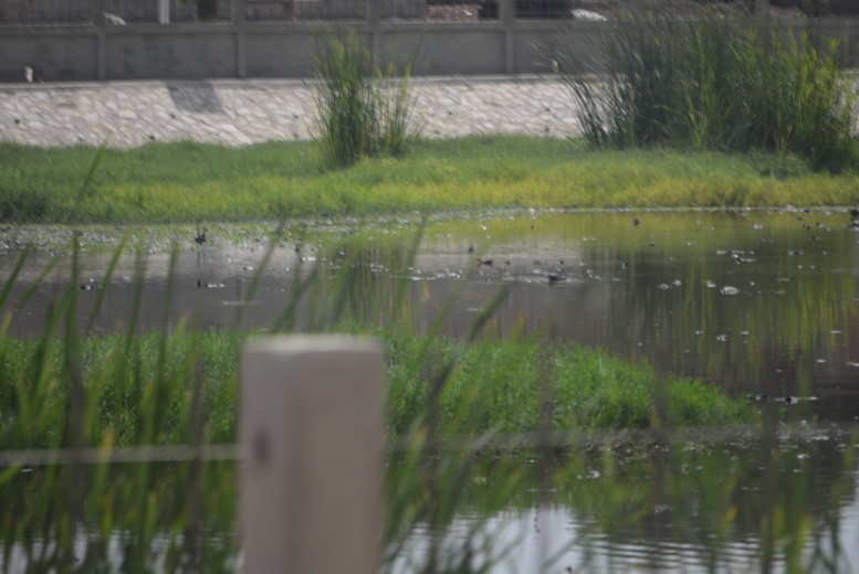 Visite de terrain: l’ADM s’engage pour une gestion durable des inondations