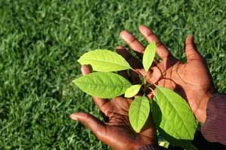 Caravane de sensibilisation sur la protection de l’environnement, le 29 avril, à Fatick