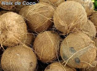 Hydrocarbure : l'huile de coco comme alternative au diesel