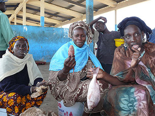 Étude prospective « Sénégal 2025 » : les Sénégalais se soucient plus de leur sécurité alimentaire