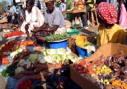 Redressement économique mondial sans gros impact immédiat sur le panier de la ménagère.