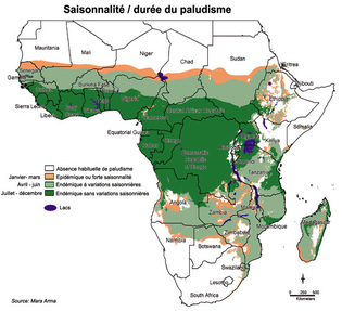 La lutte contre le paludisme progresse en Afrique