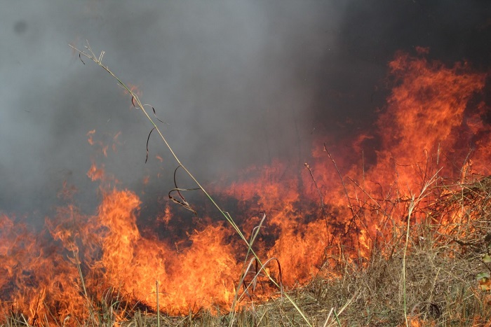 Drame à Bémet Bidjini : Un sexagénaire périt dans un feu de brousse