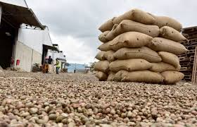 Ouverture sur le marché extérieur : le port de Ziguinchor prêt à accueillir 50 000 tonnes de noix d’anacarde