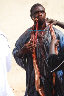 Reportage photos - Lutte Baboye - Balla Gaye 2: entrée de Balla Bèye 2