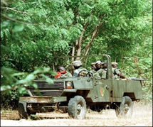 L’armée réagit en Casamance : Plusieurs individus arrêtés