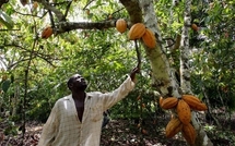 Côte d'Ivoire : Le blocage politique fait mal à l`économie