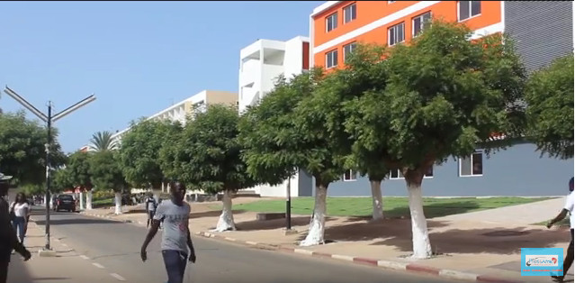 Vidéo - Ce que les étudiants et le Coud pensent de la visite du Président Macky Sall