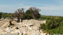 Cimetière de Joal Fadiouth