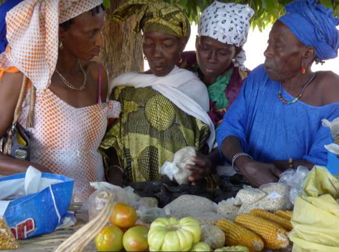 Conférence internationale sur l'agroécologie: AFSA prône un système alimentaire destiné au grand public