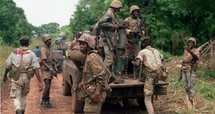 Casamance : L’Armée suspend ses opérations de ratissage