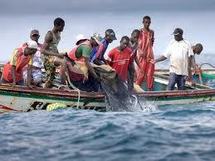 Marche de protestation du groupement des armateurs et industriels de la pêche ce mercredi