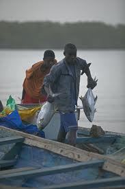 Partenariat pour une gestion durable de la pêche au Sénégal