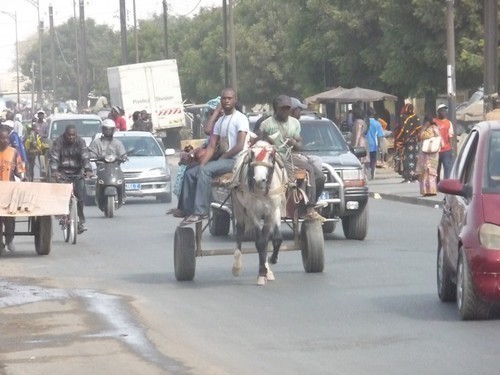 Avec la grève des transporteurs, les charrettes ont pris le relais à Dakar