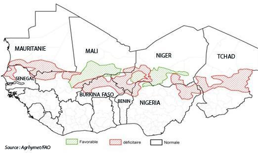 Sécheresse en Afrique de l'Ouest et au Sahel : la FAO s'inquiète