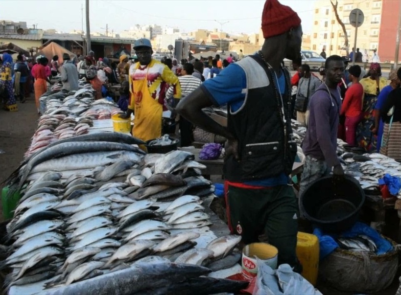 ​Inondation au marché Central au poisson de Pikine : le Collectif national des mareyeurs réclame des mesures urgences