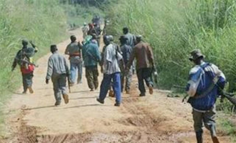 Casamance: 3 jeunes du village de Senghère Baïnounck libérés après avoir été kidnappés