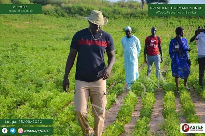 Vacances agricoles patriotiques : « Notre objectif est de pouvoir faire 2500 voire 4000 ha l’année prochaine » (Ousmane Sonko)