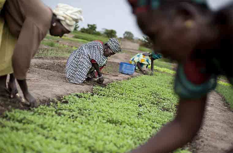 Les défis prioritaires de Caritas Sénégal attendus ce dimanche