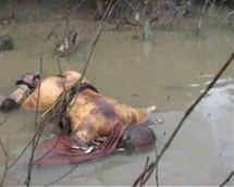 Yeumbeul-Découverte macabre : un adolescent retrouvé noyé