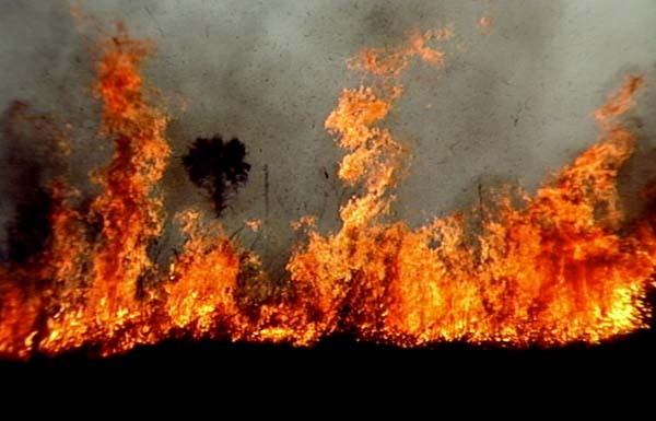 Feu de brousse au Ranch de Doli : plus de 140 km de terre ravagés