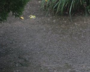 Hivernage: Après Tambacounda, Ziguinchor arrosée hier