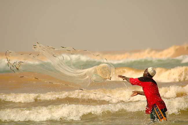 Décision du Sénégal de maintenir le gel des autorisations de pêche : Greenpeace salue l’engagement du gouvernement