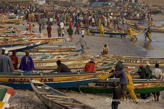 Soumbédioune : le gasoil déversé par un navire non identifié fait craindre le désastre