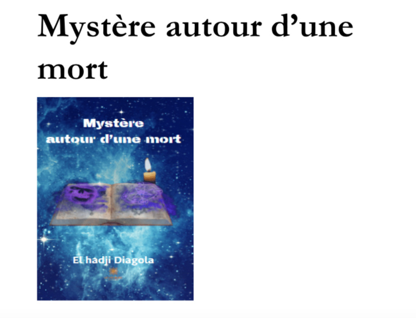 « Mystère autour d’une mort », le roman du journaliste sénégalais El Haj Diagola sur les assassinats d’Africains en Occident