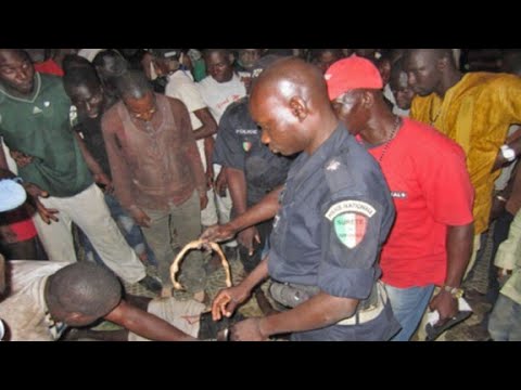 Opération de la Gendarmerie à la Cité « Imbécile » : plusieurs arrestations et armes saisies