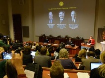 L'annonce du Prix Nobel de Médecine, le 7 octobre 2013 à Stockholm. AFP PHOTO / JONATHAN NACKSTRAND