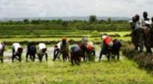 Après avoir annoncé l’équipement du monde rural pour développer l’agriculture, Pape Abdoulaye Seck en tournée du 11 au 15 avril