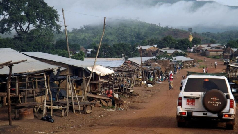 Guinée: une ONG dénonce un manque de transparence sur l’impact environnemental d’un projet de chemin de fer