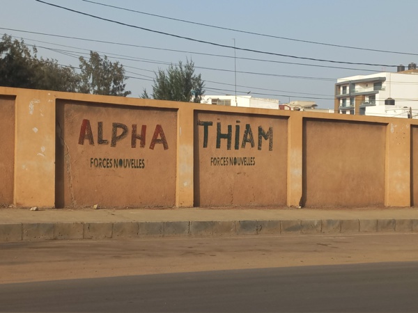Conseil constitutionnel: Alpha Thiam recalé par la commission de contrôle