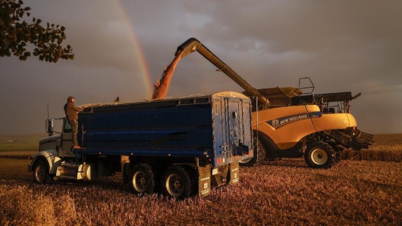 Agriculture: le grand écart mondial des aides publiques entre pays riches et pays pauvres