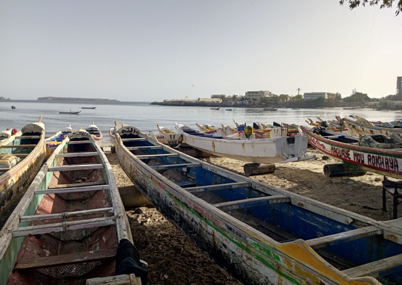 Quai de pêche Soumbédioune : le coeur battant de la pêche traditionnelle à Dakar