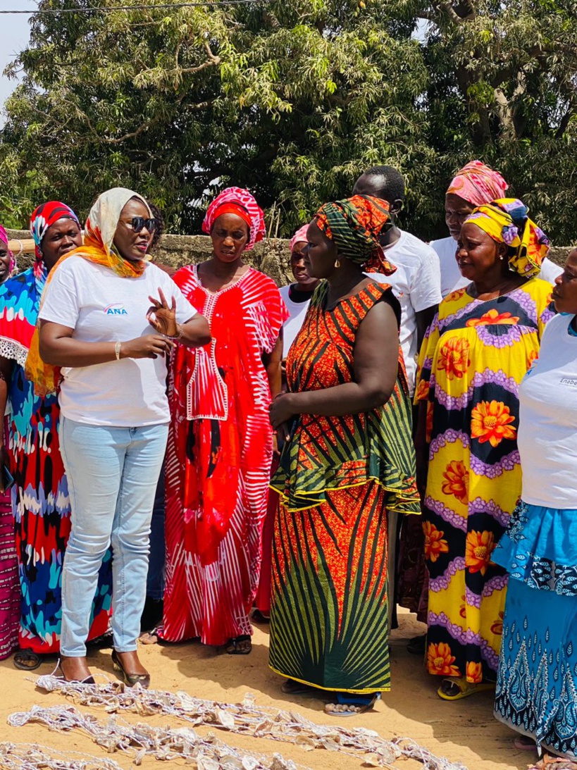 Autonomisation des femmes: ANA en tournée pour soutenir l'essor de l'ostréiculture au Sénégal