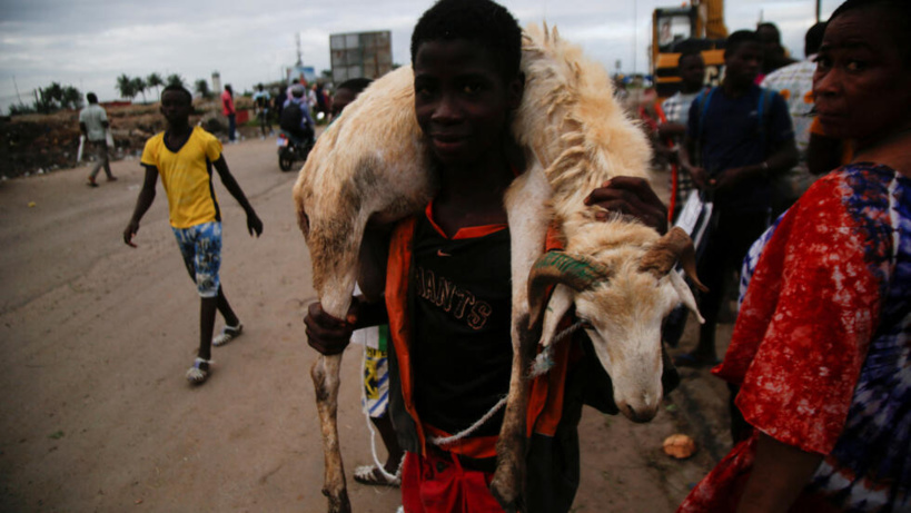 Côte d'Ivoire: les commerçants en colère face au déguerpissement du parc à bétail de l'abattoir de Port-Bouët