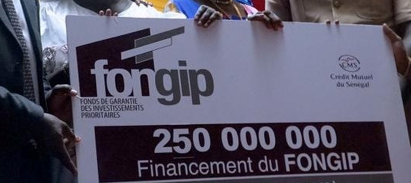 ​Financement des projets du Fongip : 250 millions FCFA détournés à travers des prêts fictifs