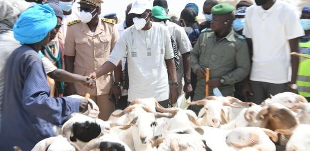 Foirail de Dahra : le Secrétaire d’État aux Coopératives et à l’Encadrement paysan demande aux éleveurs de rembourser leur dette de 600 millions de Fcfa