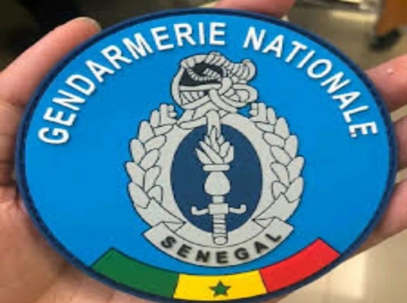 Remaniement au sein de la Gendarmerie nationale