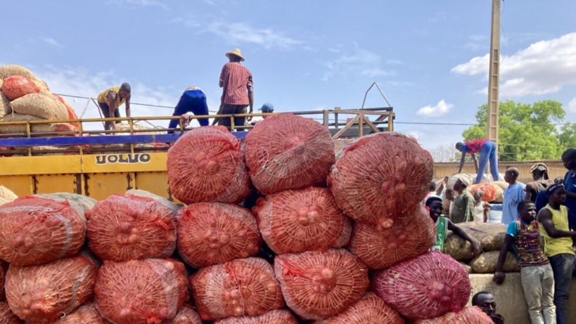 Fermeture de la frontière Bénin-Niger: Comment une voie alternative passant par le Nigeria soulage les routiers