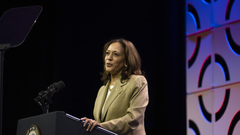 États-Unis: les démocrates divisés entre soutiens à Kamala Harris et appels à une autre candidature