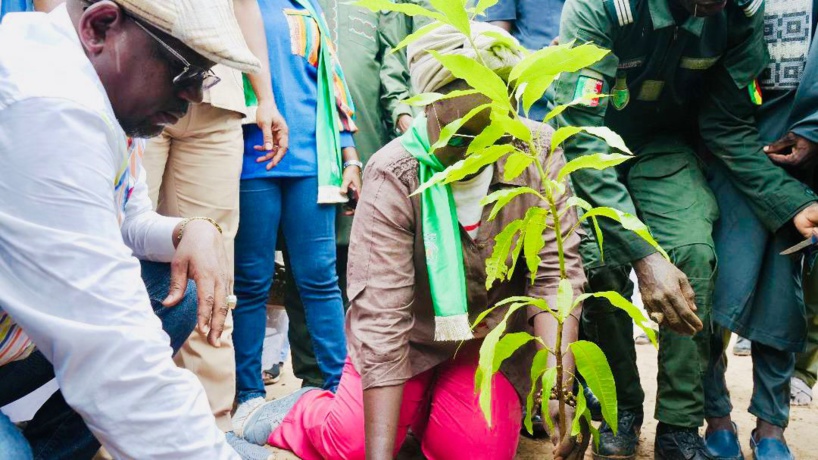 le ministre Khady Dièye Gaye, plantant un arbre à Ndiédieng