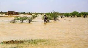 Tchad : au moins 54 personnes sont mortes dans des inondations