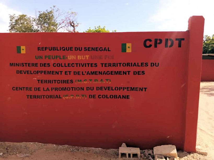 Reverdissement du Sénégal : la commune de Colobane offre 4 ha pour une pépinière de plants de reboisement