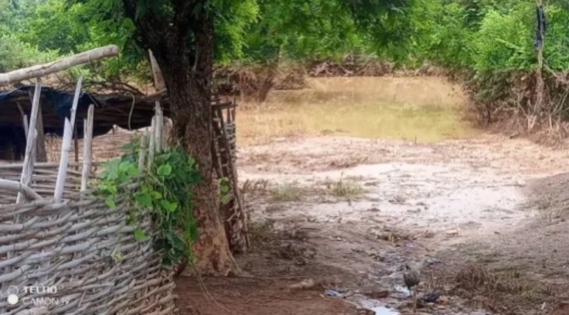 Tambacounda-Montée du fleuve Falémé : 14 villages dévastés ainsi que 80 % des surfaces cultivées 