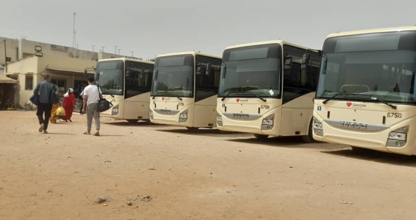 Bonne nouvelle pour les fidèles : Dem Dikk compte mettre des bus à leur disposition durant la période du "Bourde"