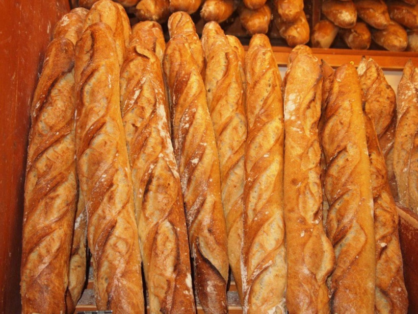 Sénégal :  l’Etat envisage d’allouer des terres pour la production de céréales locales afin de "booster" le secteur de la boulangerie